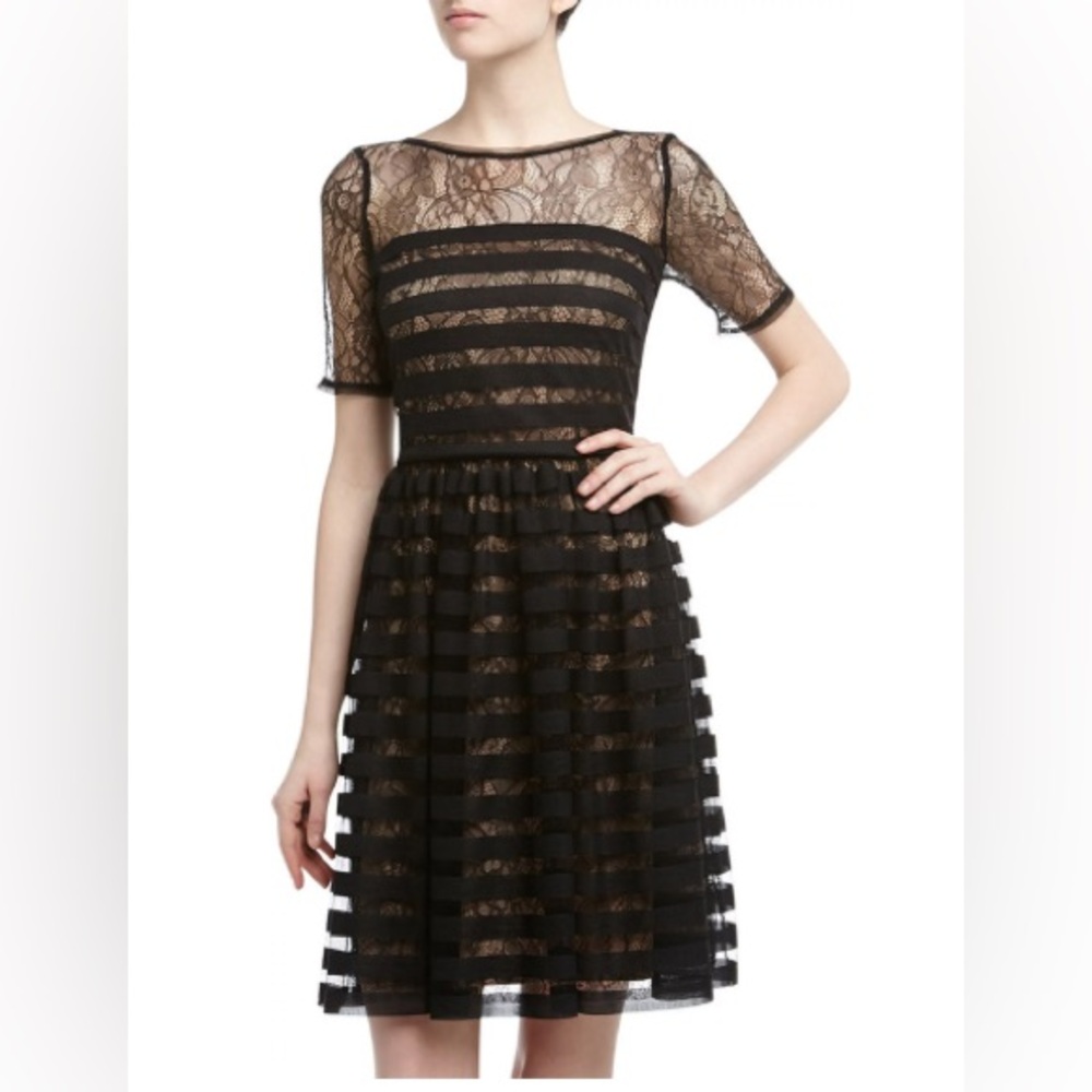 NWT Muse Black Nude Lace Chic Fit Flare Cocktail‎ Party Dress 4 Small S
